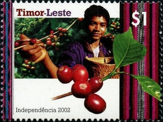 East Timor Coffee