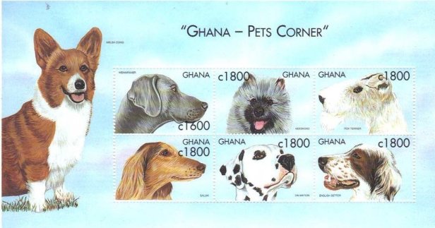 Ghana Dogs