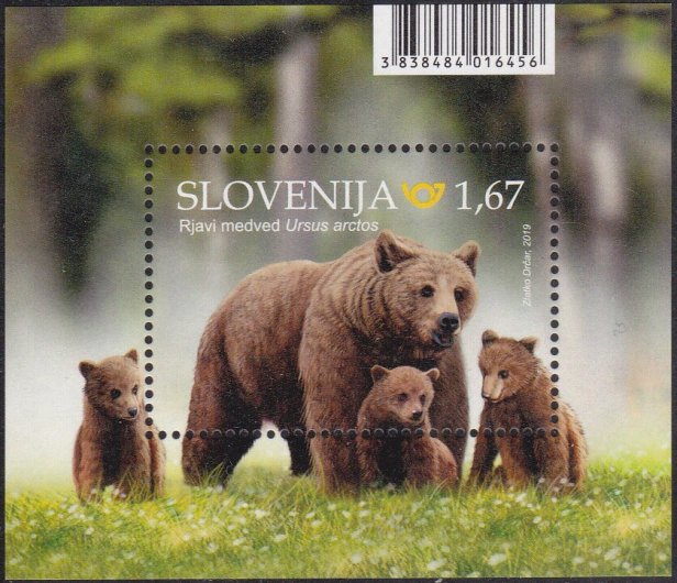 Slovenia Brown Bear