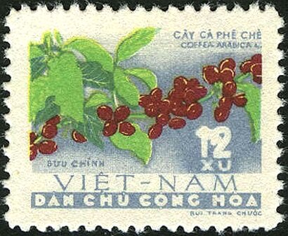 Vietnam Coffee