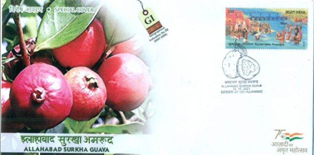 Guava Tag Allahabad Surkha Guava – GI Tag Special Covers -India 2021 – Stamp Digest